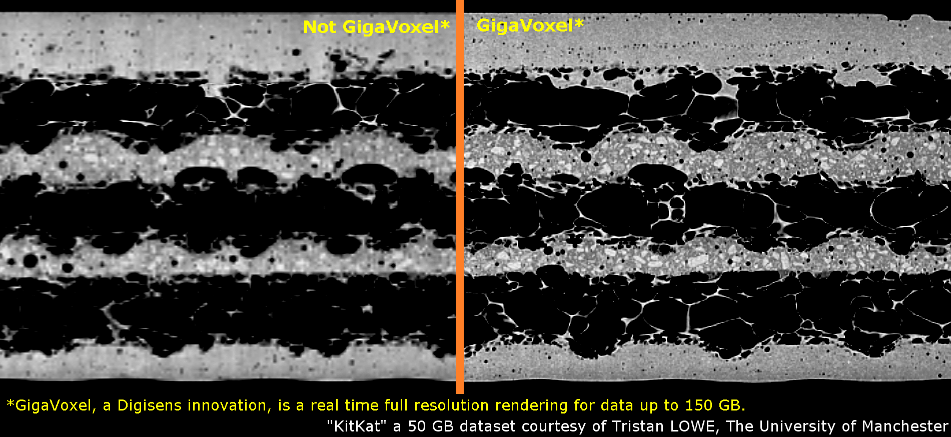 GigaVoxel rendering by Digisens